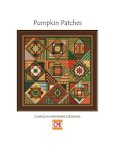 (image for) Pumpkin Patches